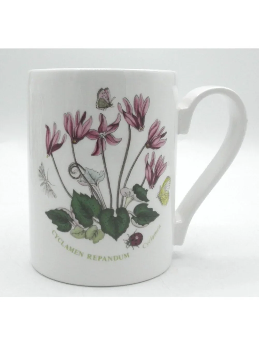 Portmeirion Botanic Garden 12 Ounce Mugs Set of 5 Assorted Pattern Code: PRTBOG